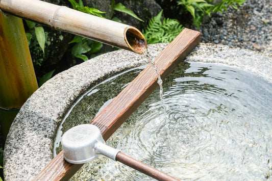 How to set up a shower while camping